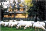 Pensjonat Le�nicz�wka U Zi�by